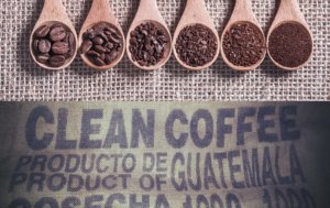la café du guatemala,parmi les meilleurs du monde