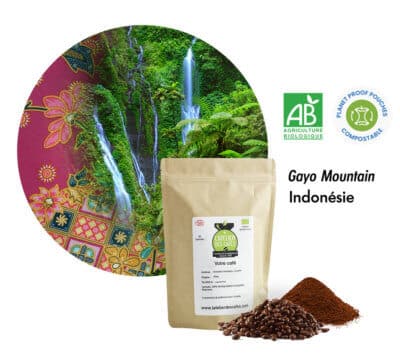 café gayo mountain bio sac compostable