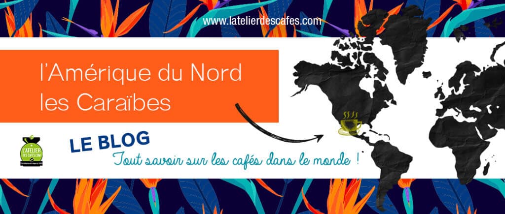 Le café en amérique du nord et aux caraïbes