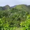 Plantation de Vilcabamba