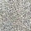Focus sur grains de café moka sidamo