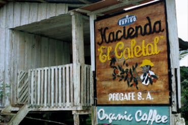 La ferme El Cafetal des Galapagos