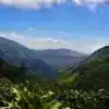Blue Mountains Jamaïque