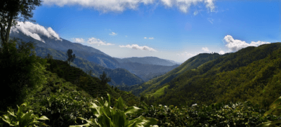 Blue Mountains Jamaïque
