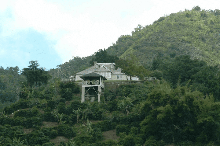 Jamaïque Blue Mountain - Maison du Bon Café