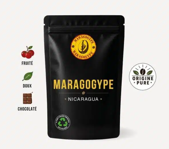 Café Maragogype du NIcaragua, un café fruité, doux et chocolaté